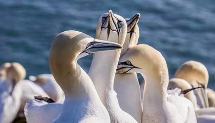 星空体育官方网站-国家男篮训练营加强体能和战术磨合，男篮 训练