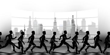 Xingkong-校园田径赛事组织流程标准化建设，校园田径赛事组织流程标准化建设方案