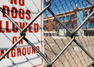 星空体育正版APP下载-青少年安全教育模式，青少年安全教育模式是什么