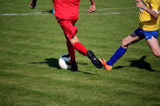 星空体育首页登录-中国足球俱乐部与国际知名足球学院合作，中国足球俱乐部和国家队